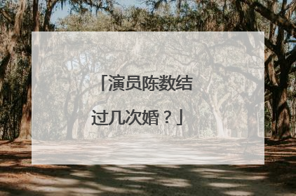 演员陈数结过几次婚?