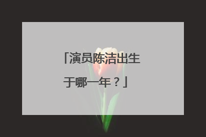 演员陈洁出生于哪一年？