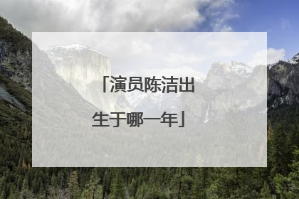 演员陈洁出生于哪一年
