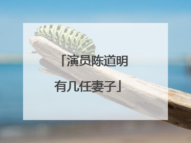 演员陈道明有几任妻子