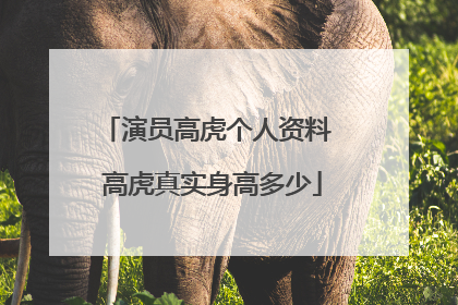 演员高虎个人资料 高虎真实身高多少