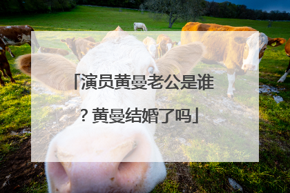 演员黄曼老公是谁?黄曼结婚了吗