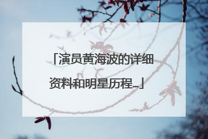 演员黄海波的详细资料和明星历程…