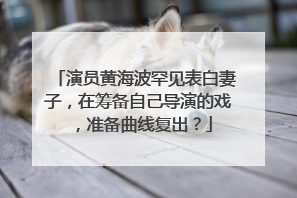 演员黄海波罕见表白妻子，在筹备自己导演的戏，准备曲线复出？