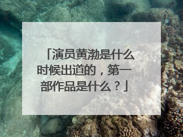 演员黄渤是什么时候出道的，第一部作品是什么？