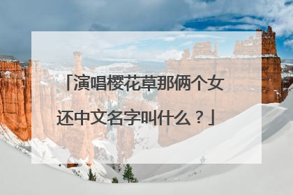 演唱樱花草那俩个女还中文名字叫什么?