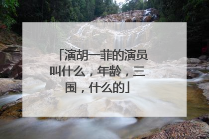 演胡一菲的演员叫什么，年龄，三围，什么的