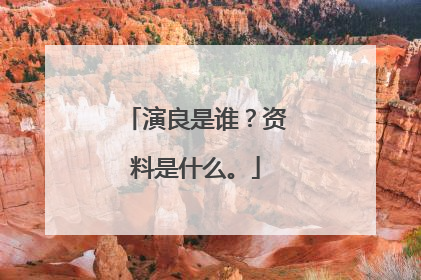 演良是谁？资料是什么。
