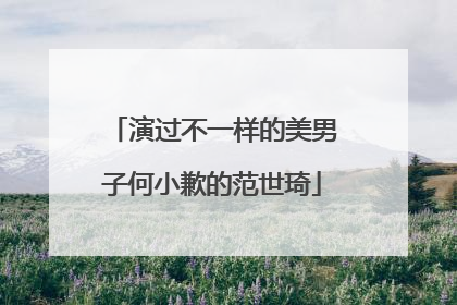 演过不一样的美男子何小歉的范世琦