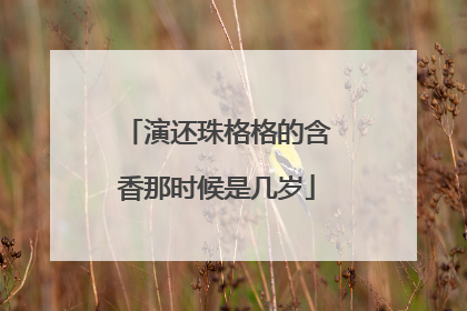 演还珠格格的含香那时候是几岁