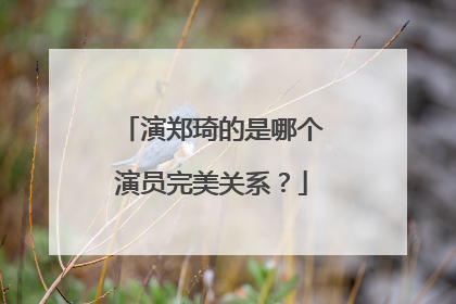 演郑琦的是哪个演员完美关系？