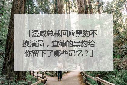 漫威总裁回应黑豹不换演员,查德的黑豹给你留下了哪些记忆?