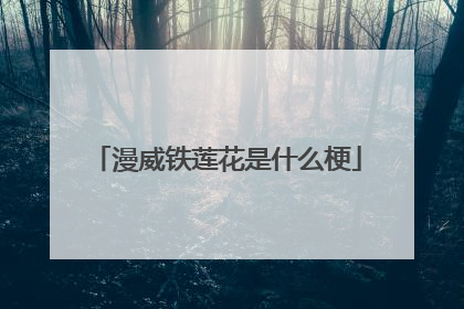 漫威铁莲花是什么梗