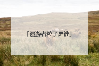 漫游者粒子是谁