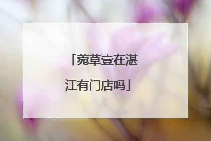 菀草壹在湛江有门店吗