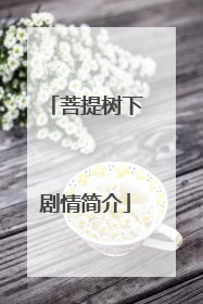 菩提树下剧情简介