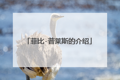 菲比·普莱斯的介绍