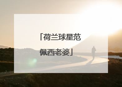 荷兰球星范佩西老婆