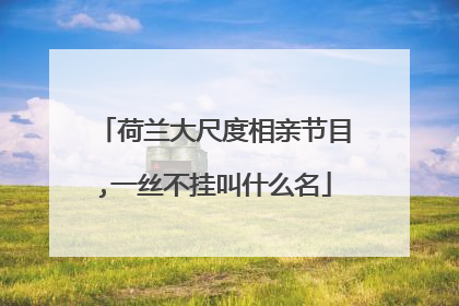 荷兰大尺度相亲节目,一丝不挂叫什么名