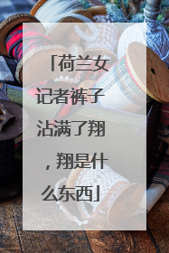 荷兰女记者裤子沾满了翔,翔是什么东西