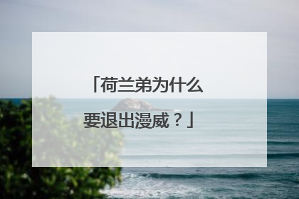 荷兰弟为什么要退出漫威？