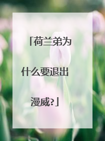 荷兰弟为什么要退出漫威?