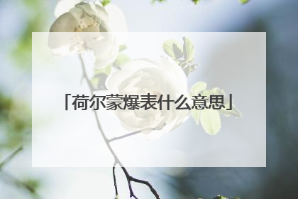 荷尔蒙爆表什么意思