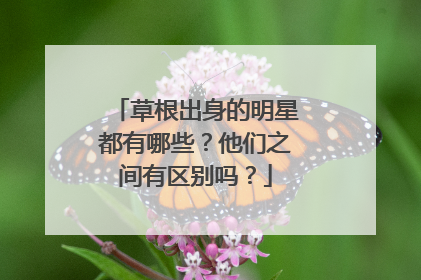 草根出身的明星都有哪些?他们之间有区别吗?