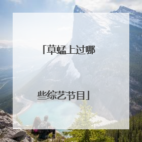 草蜢上过哪些综艺节目