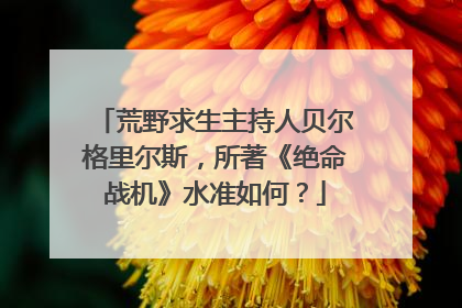 荒野求生主持人贝尔格里尔斯，所著《绝命战机》水准如何？