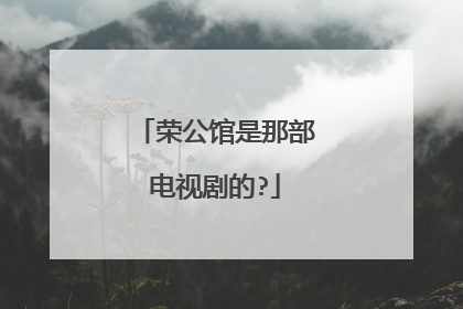 荣公馆是那部电视剧的?