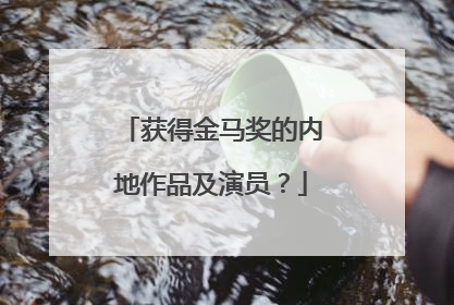 获得金马奖的内地作品及演员？