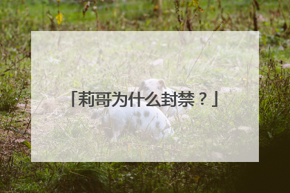 莉哥为什么封禁？