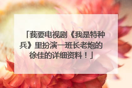 莪要电视剧《我是特种兵》里扮演一班长老炮的徐佳的详细资料！