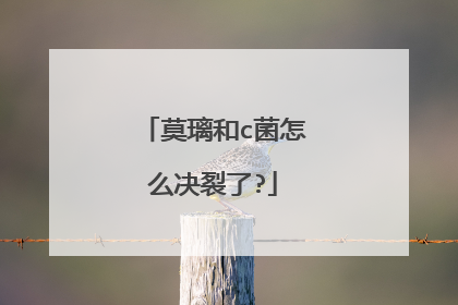 莫璃和c菌怎么决裂了?