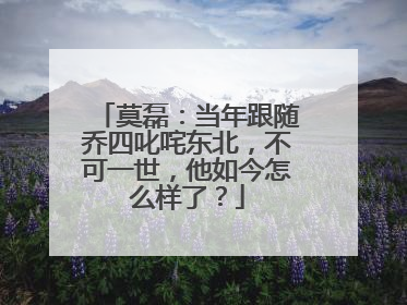 莫磊:当年跟随乔四叱咤东北,不可一世,他如今怎么样了?