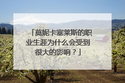 莫妮卡塞莱斯的职业生涯为什么会受到很大的影响？