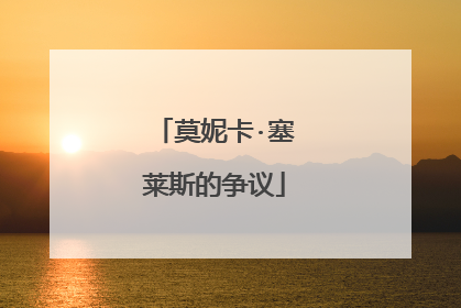 莫妮卡·塞莱斯的争议