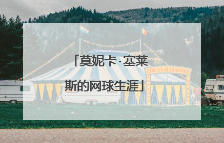 莫妮卡·塞莱斯的网球生涯