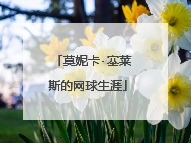 莫妮卡·塞莱斯的网球生涯