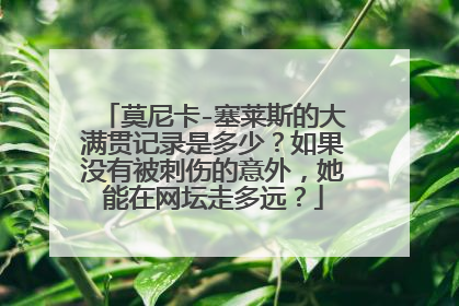 莫尼卡-塞莱斯的大满贯记录是多少?如果没有被刺伤的意外,她能在网坛走多远?