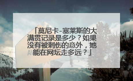 莫尼卡-塞莱斯的大满贯记录是多少？如果没有被刺伤的意外，她能在网坛走多远？