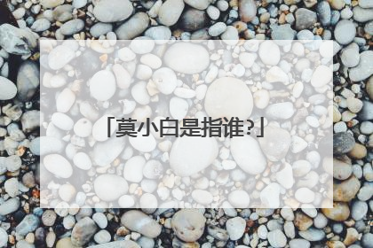 莫小白是指谁?