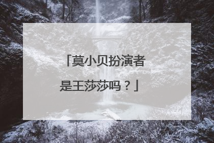 莫小贝扮演者是王莎莎吗？