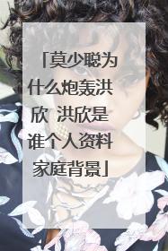 莫少聪为什么炮轰洪欣 洪欣是谁个人资料家庭背景