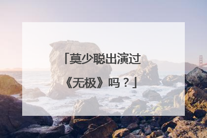 莫少聪出演过《无极》吗?