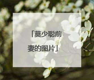 莫少聪前妻的图片