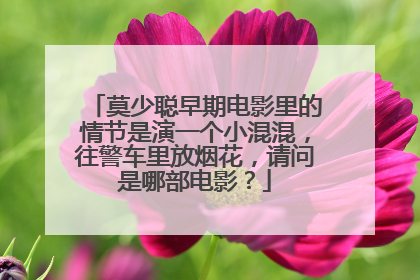 莫少聪早期电影里的情节是演一个小混混,往警车里放烟花,请问是哪部电影?