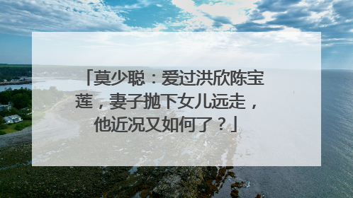莫少聪：爱过洪欣陈宝莲，妻子抛下女儿远走，他近况又如何了？