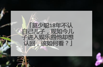 莫少聪18年不认自己儿子，现如今儿子进入娱乐圈他却想认回，该如何看？